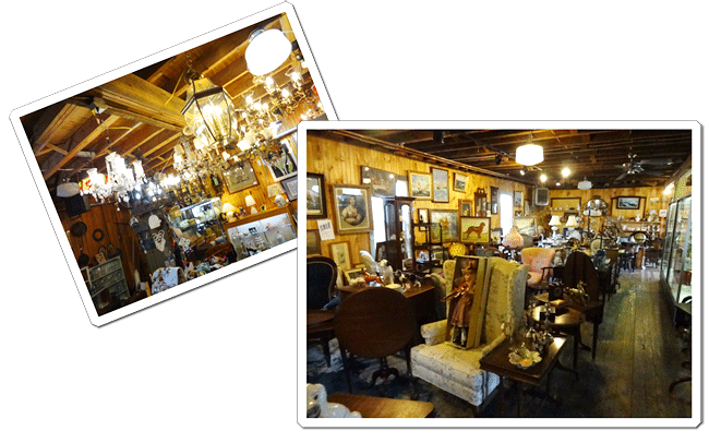 View Inside Store